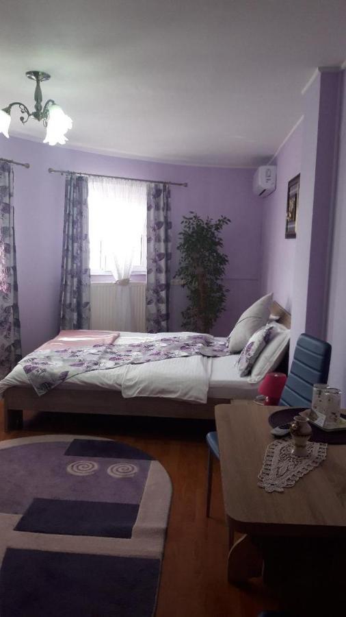 Casa Liana Hotell Oradea Eksteriør bilde